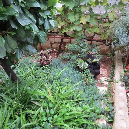 With Parking Space Mastrinka, Ciovo - 2050 * Trogir