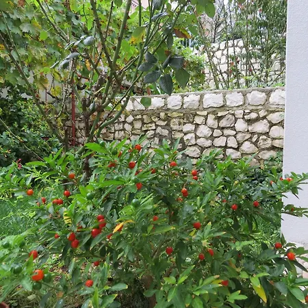 Apartamento With Parking Space Mastrinka, Ciovo - 2050 *