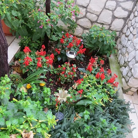 Apartamento With Parking Space Mastrinka, Ciovo - 2050 Trogir
